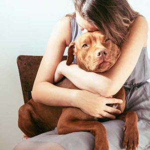 Depression in animals