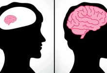 افزایش هوش در اسلام