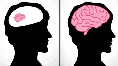 افزایش هوش در اسلام