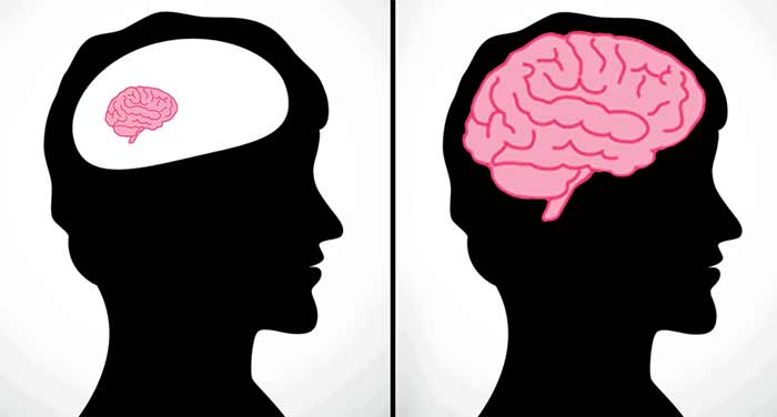 افزایش هوش افزایش هوش در اسلام