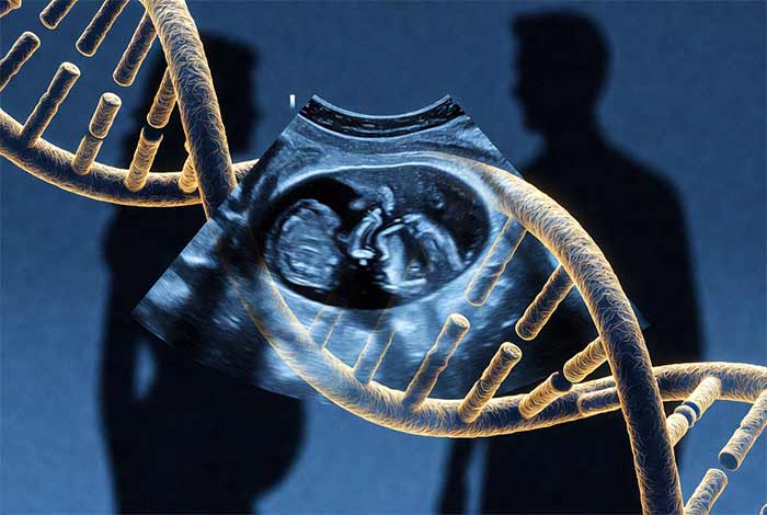 بارداری ژنتیک و ارث