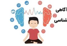 کتاب ذهن آگاهی در روانشناسی+ خلاصه کتاب از جان کابات زین