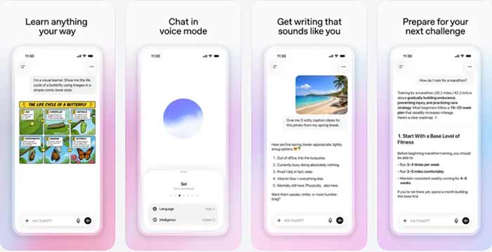 ChatGPT (OpenAI)